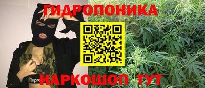 прущие крисы Кунгур