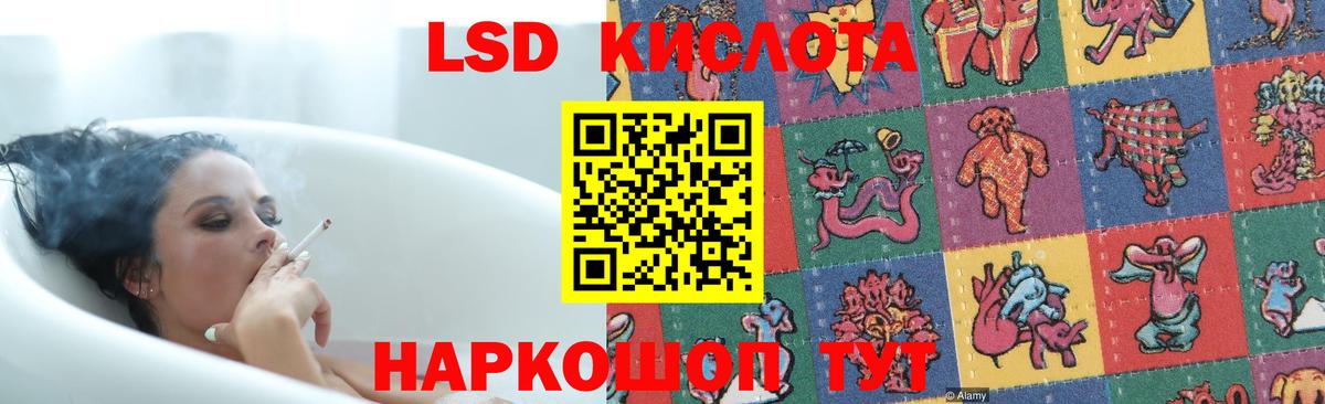Галлюциногенные грибы Кирово-Чепецк