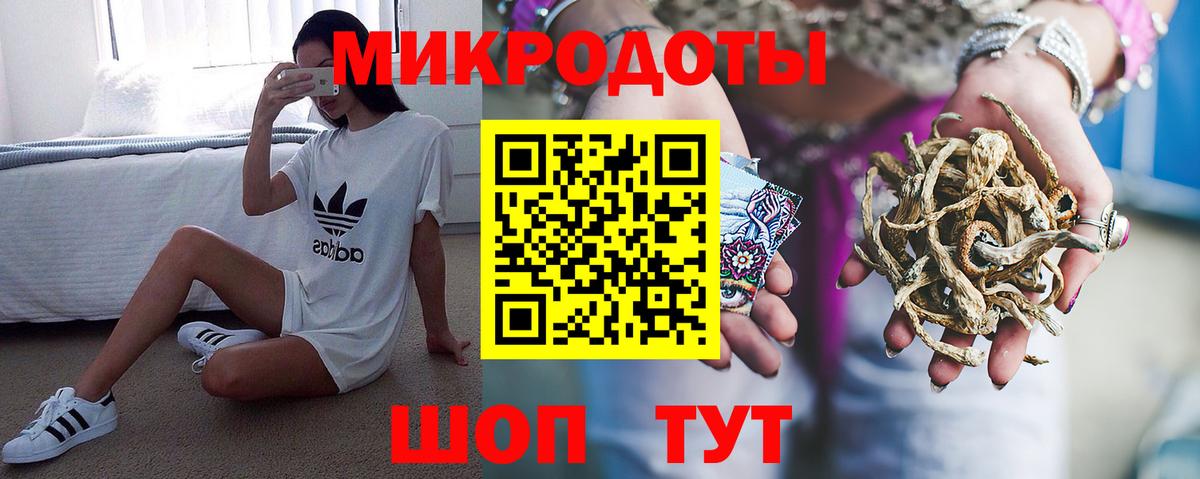 Псилоцибиновые грибы мицелий Кирово-Чепецк